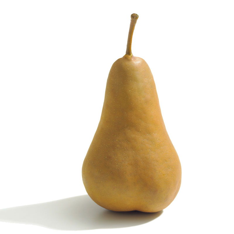 https://www.scullypacking.com/wp/wp-content/uploads/Bosc-Pear.jpg